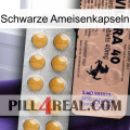 Black Ant Capsules 41